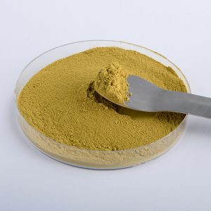 Pigment de Solidage P02