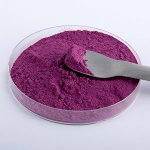 Pigment de Cochenille P06